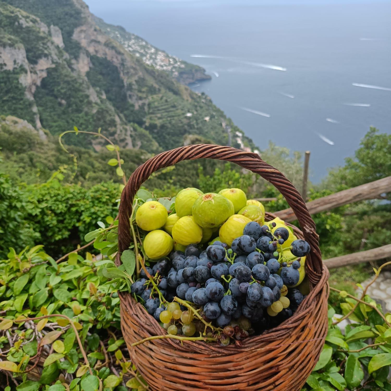 Villa Antica Macina Positano Exterior foto